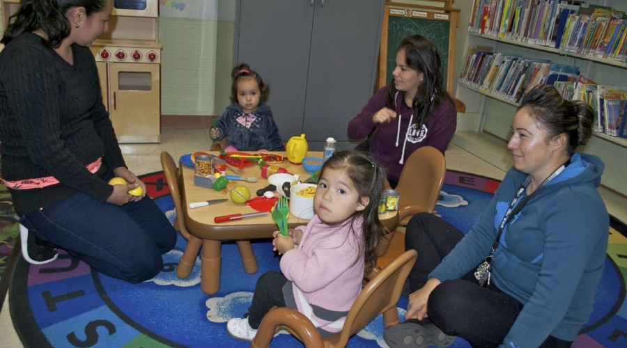 Fremont public library homework help Fremont public library homework help